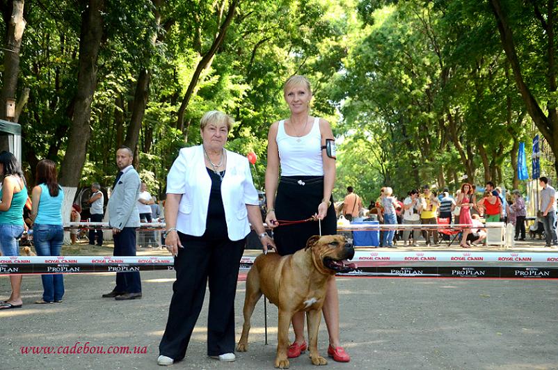 Carat on Dog Show Uzhgorod (Ukraine)18.08.13